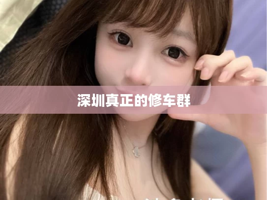 深圳真正的修车群