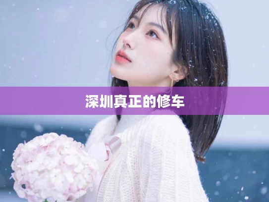 深圳真正的修车