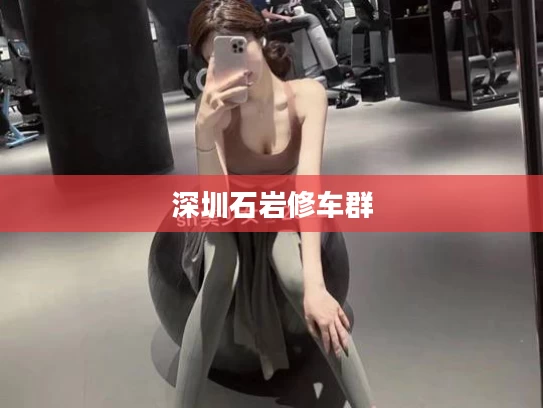 深圳石岩修车群