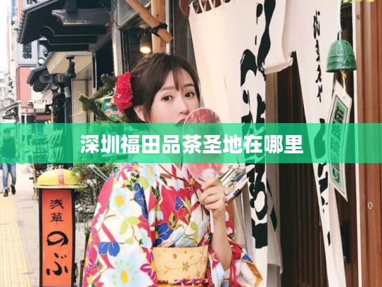 深圳福田品茶圣地在哪里