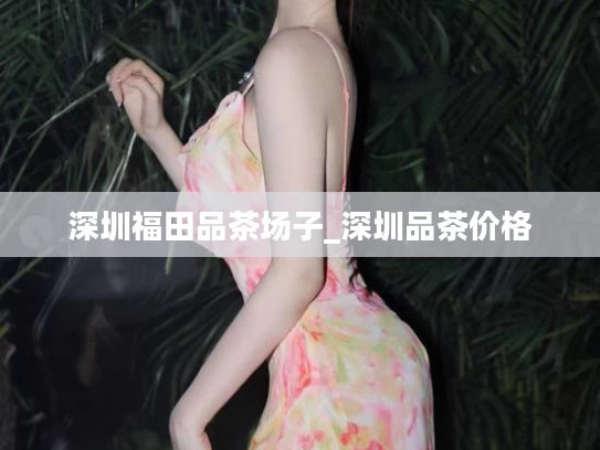深圳福田品茶场子_深圳品茶价格