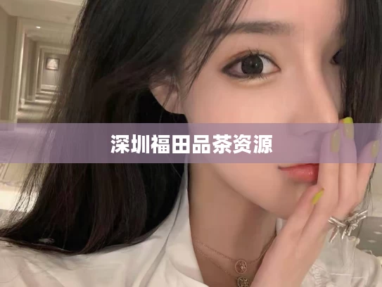 深圳福田品茶资源