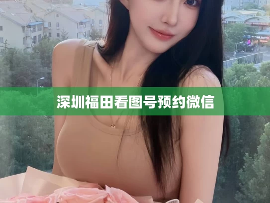 深圳福田看图号预约微信