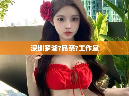 深圳罗湖?品茶?工作室