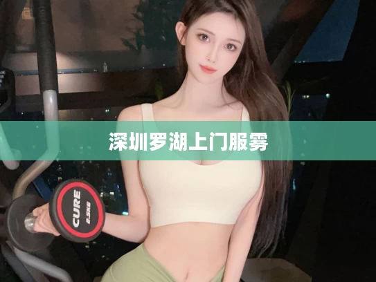 深圳罗湖上门服雾