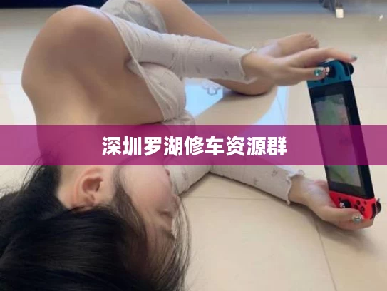 深圳罗湖修车资源群