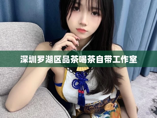 深圳罗湖区品茶喝茶自带工作室
