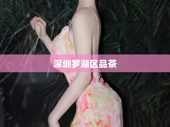 深圳罗湖区品茶