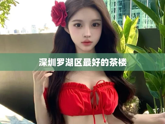 深圳罗湖区最好的茶楼
