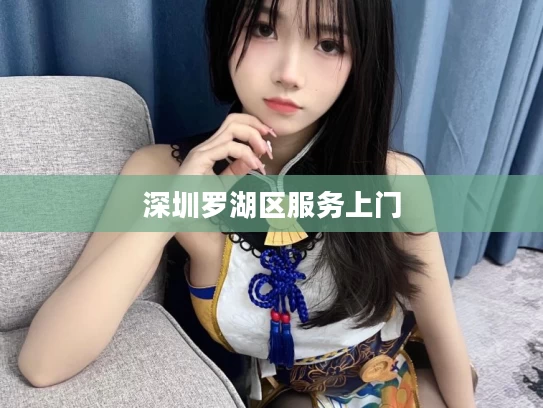 深圳罗湖区服务上门