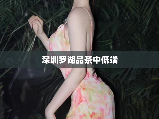 深圳罗湖品茶中低端