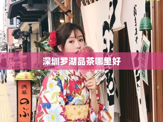 深圳罗湖品茶哪里好