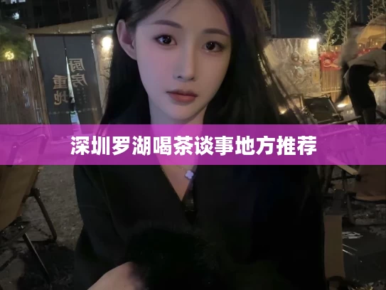 深圳罗湖喝茶谈事地方推荐