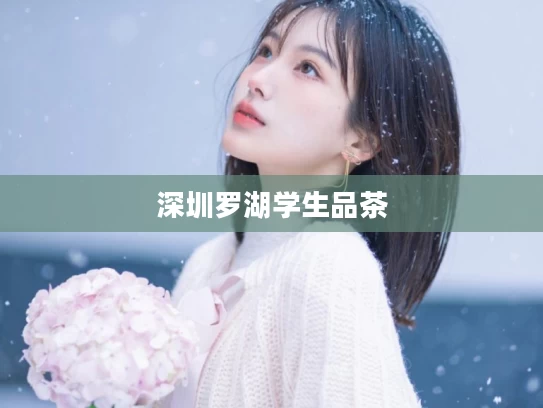 深圳罗湖学生品茶