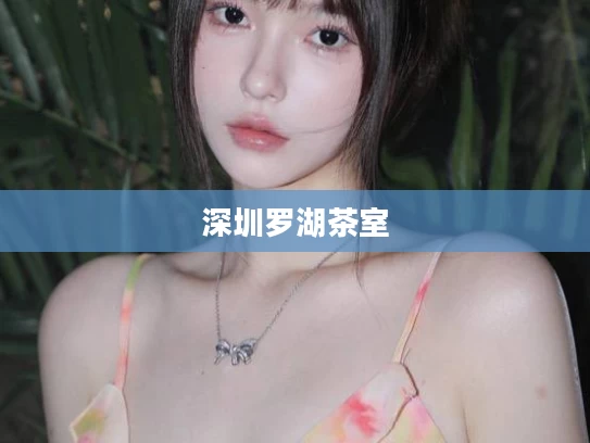 深圳罗湖茶室