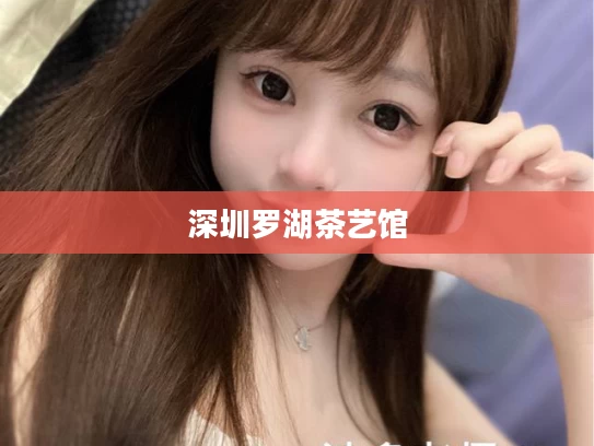 深圳罗湖茶艺馆