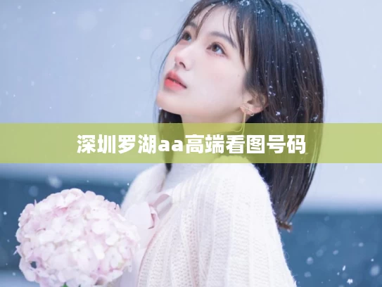 深圳罗湖aa高端看图号码	