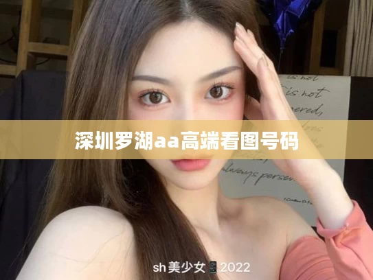 深圳罗湖aa高端看图号码