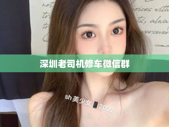 深圳老司机修车微信群