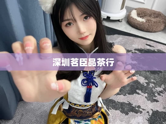 深圳茗臣品茶行