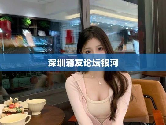 深圳蒲友论坛银河