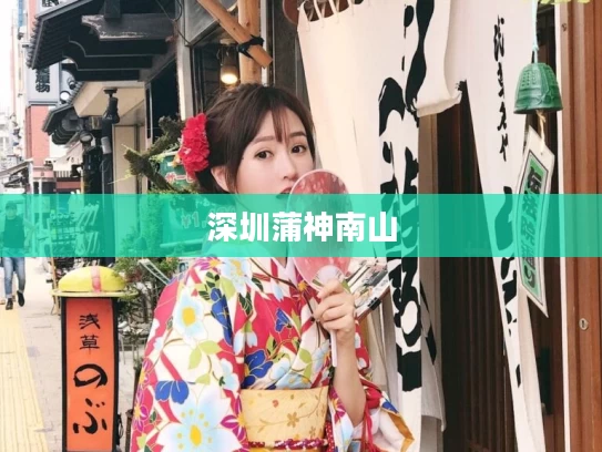 深圳蒲神南山