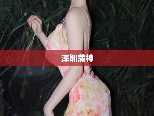 深圳蒲神