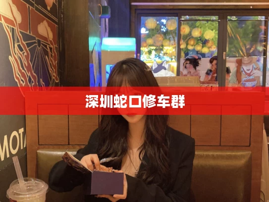 深圳蛇口修车群
