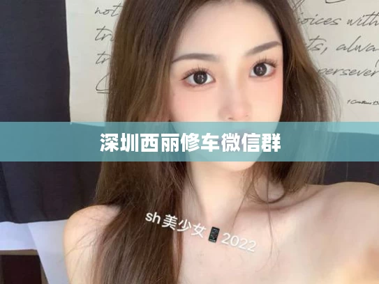 深圳西丽修车微信群