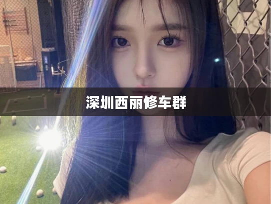 深圳西丽修车群