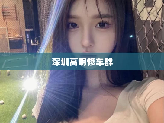 深圳高明修车群