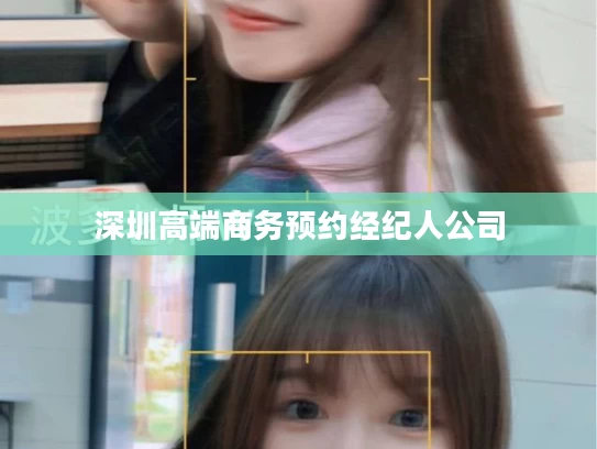 深圳高端商务预约经纪人公司