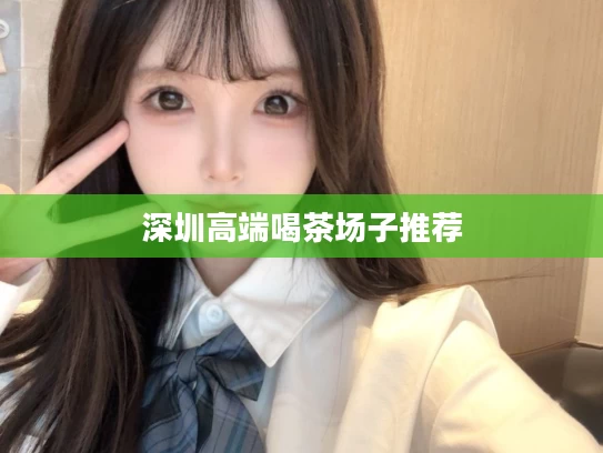 深圳高端喝茶场子推荐