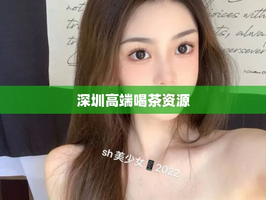 深圳高端喝茶资源
