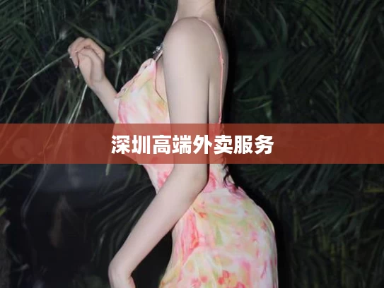 深圳高端外卖服务
