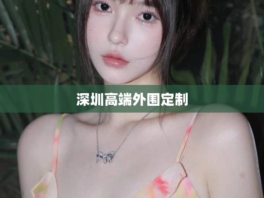 深圳高端外围定制
