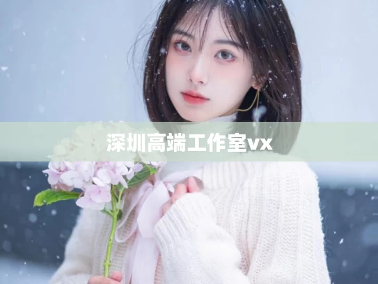 深圳高端工作室vx