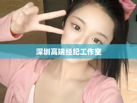 深圳高端经纪工作室