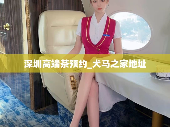 深圳高端茶预约_犬马之家地址
