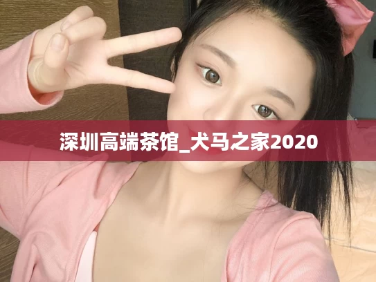 深圳高端茶馆_犬马之家2020