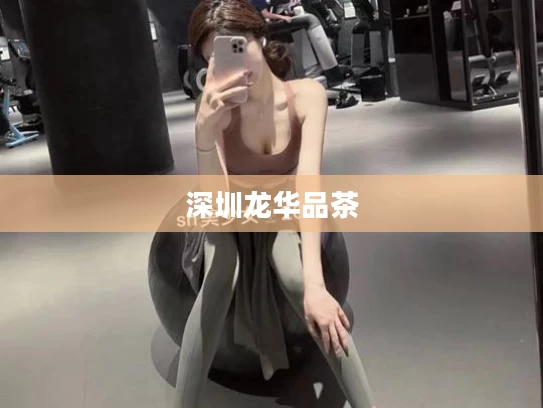 深圳龙华品茶