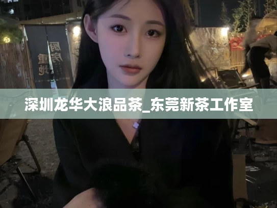 深圳龙华大浪品茶_东莞新茶工作室