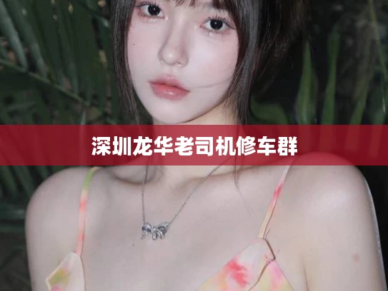 深圳龙华老司机修车群