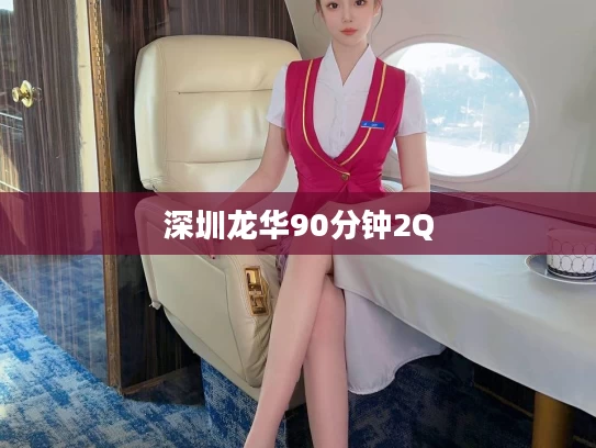 深圳龙华90分钟2Q