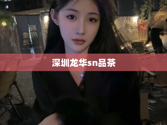 深圳龙华sn品茶