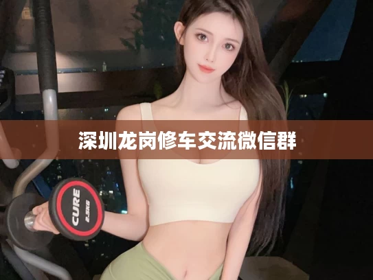 深圳龙岗修车交流微信群