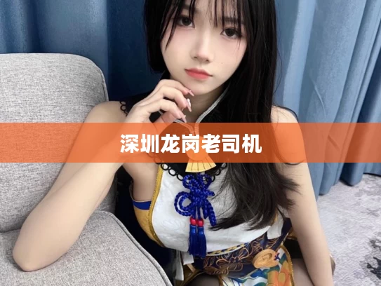 深圳龙岗老司机