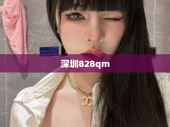 深圳828qm