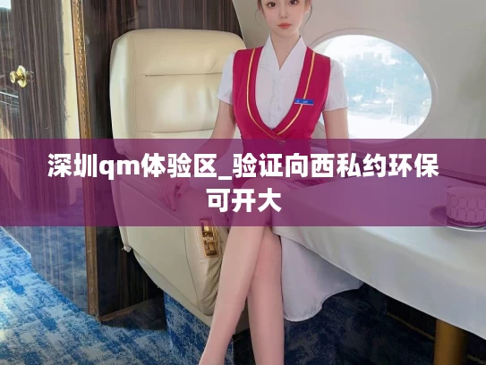 深圳qm体验区_验证向西私约环保可开大