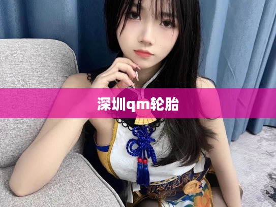 深圳qm轮胎
